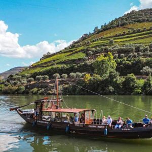 VIP Experience: Private Douro Tour - Personalized